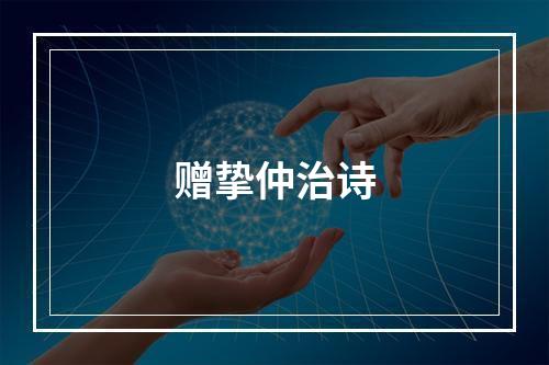 赠挚仲治诗