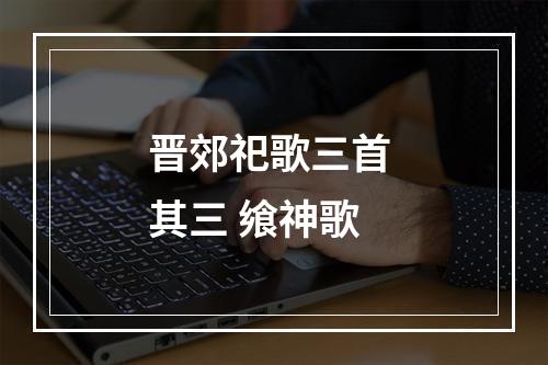 晋郊祀歌三首 其三 飨神歌