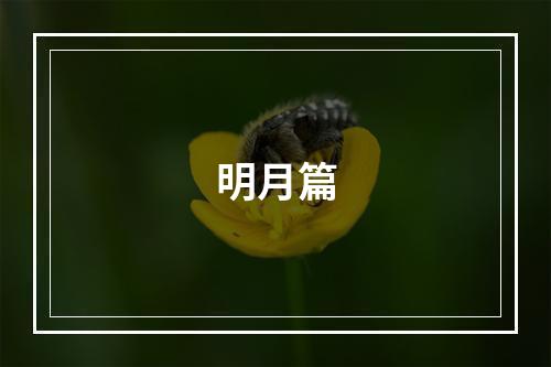 明月篇