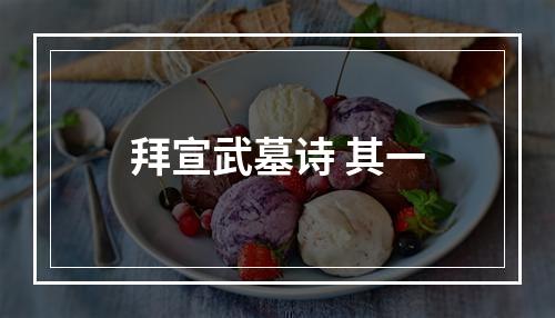 拜宣武墓诗 其一