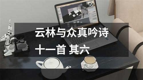 云林与众真吟诗十一首 其六