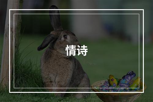 情诗