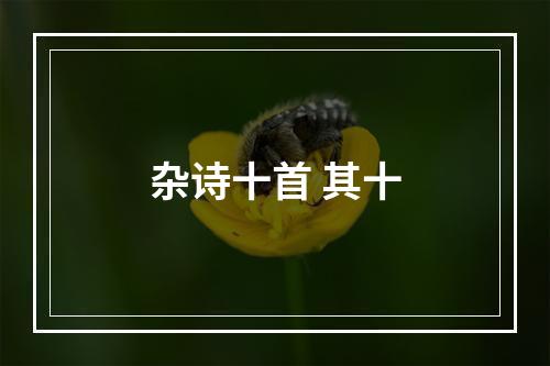 杂诗十首 其十