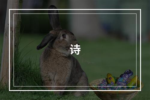 诗