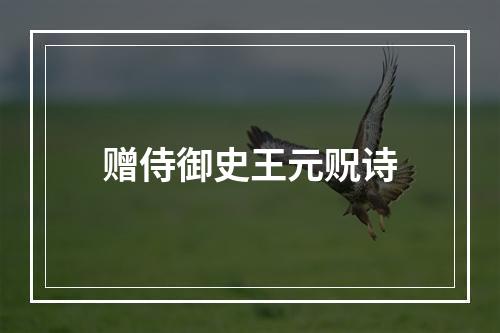 赠侍御史王元贶诗