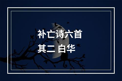 补亡诗六首 其二 白华
