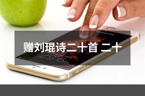 赠刘琨诗二十首 二十