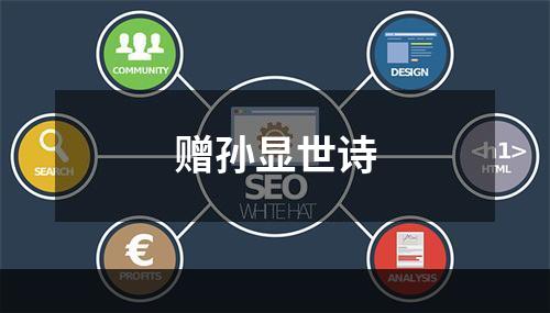 赠孙显世诗