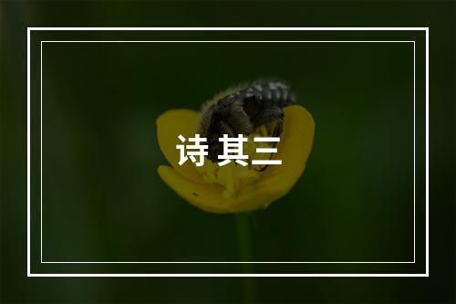 诗 其三