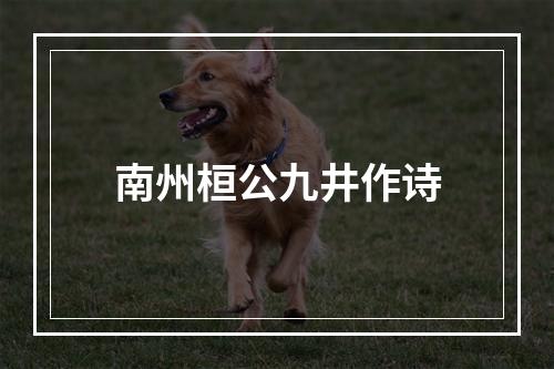 南州桓公九井作诗