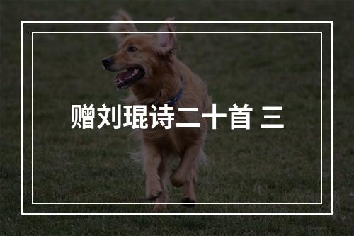 赠刘琨诗二十首 三