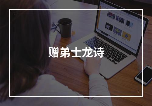赠弟士龙诗