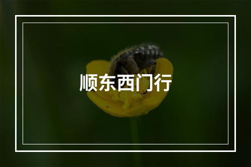 顺东西门行
