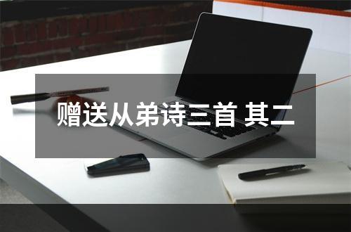 赠送从弟诗三首 其二