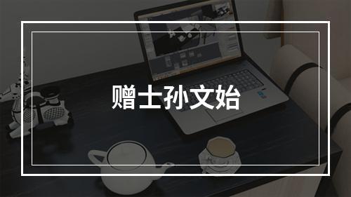 赠士孙文始