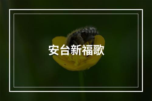 安台新福歌