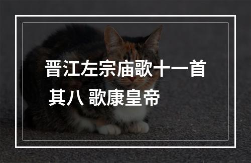 晋江左宗庙歌十一首 其八 歌康皇帝