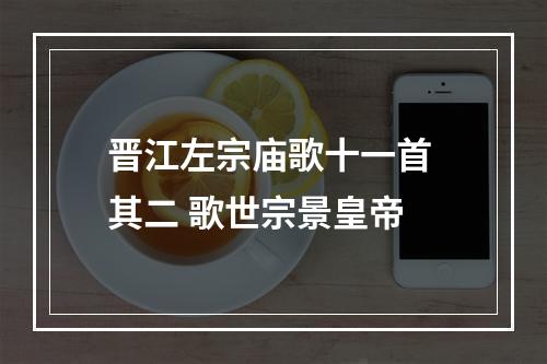 晋江左宗庙歌十一首 其二 歌世宗景皇帝