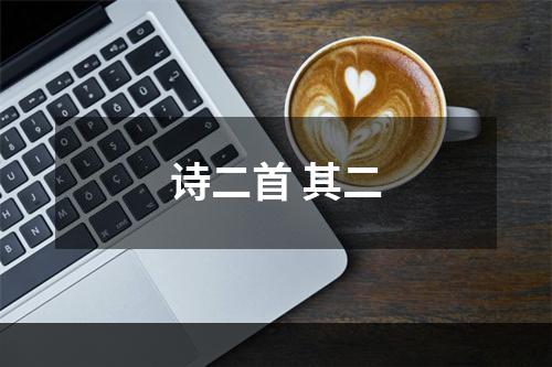 诗二首 其二