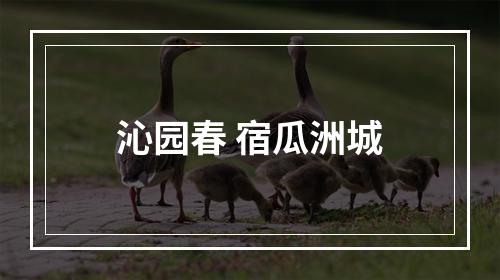 沁园春 宿瓜洲城