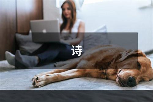 诗