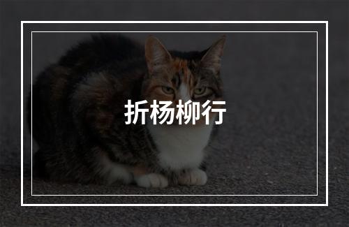 折杨柳行