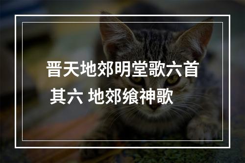 晋天地郊明堂歌六首 其六 地郊飨神歌