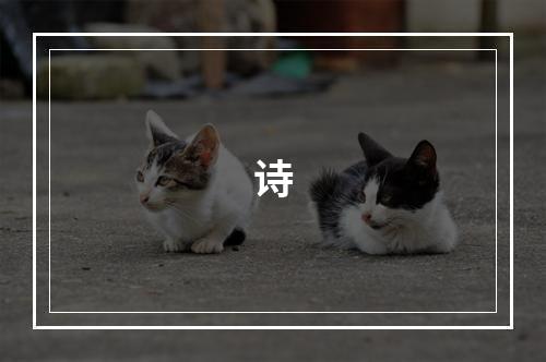 诗