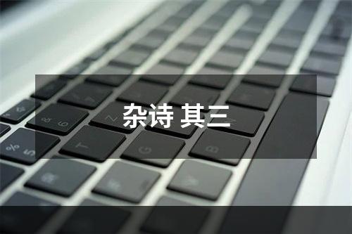 杂诗 其三