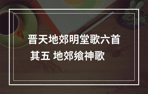 晋天地郊明堂歌六首 其五 地郊飨神歌