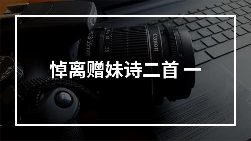 悼离赠妹诗二首 一