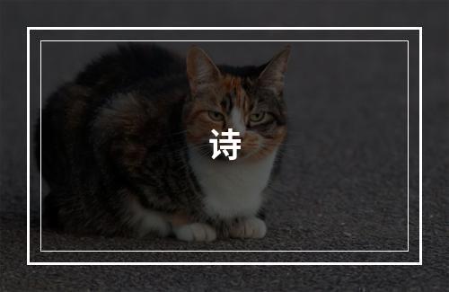 诗