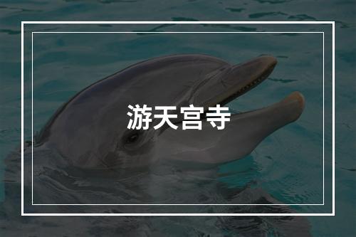 游天宫寺
