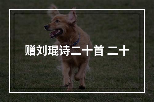 赠刘琨诗二十首 二十