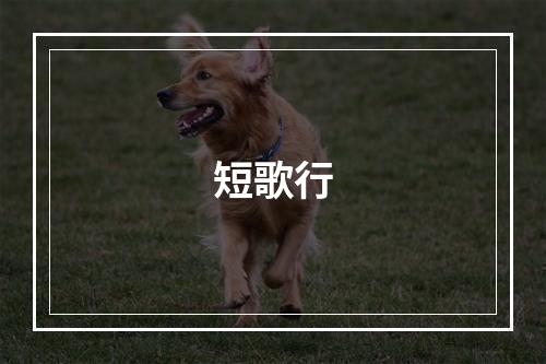短歌行
