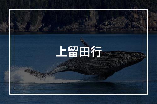 上留田行