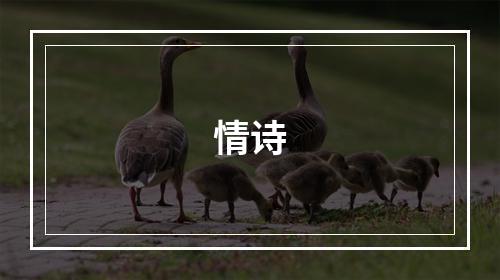 情诗