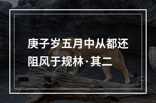 庚子岁五月中从都还阻风于规林·其二