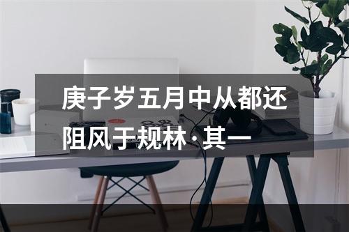庚子岁五月中从都还阻风于规林·其一