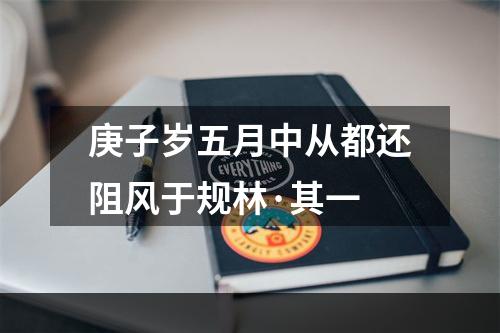 庚子岁五月中从都还阻风于规林·其一
