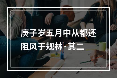 庚子岁五月中从都还阻风于规林·其二