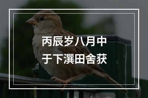 丙辰岁八月中于下潠田舍获