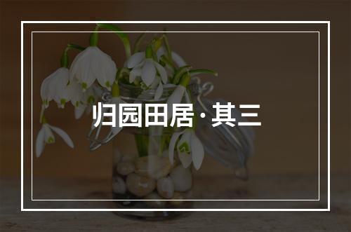 归园田居·其三