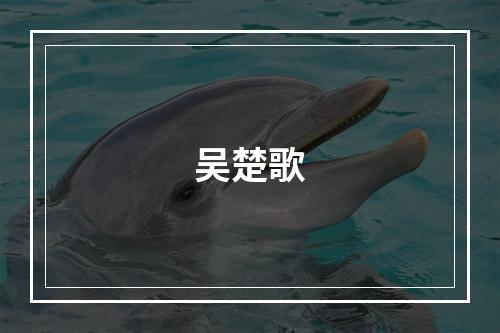 吴楚歌
