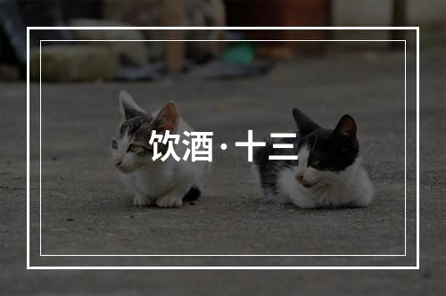 饮酒·十三