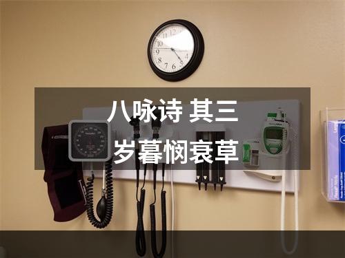 八咏诗 其三 岁暮悯衰草