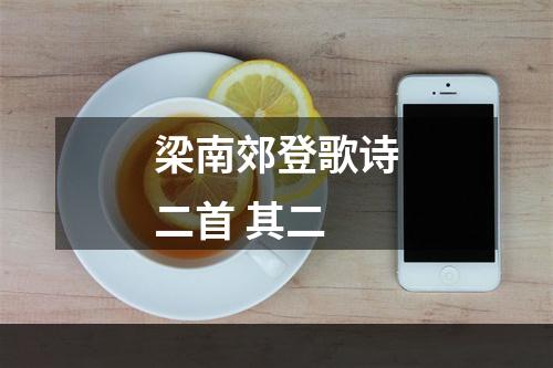 梁南郊登歌诗二首 其二