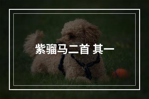紫骝马二首 其一