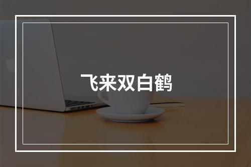 飞来双白鹤