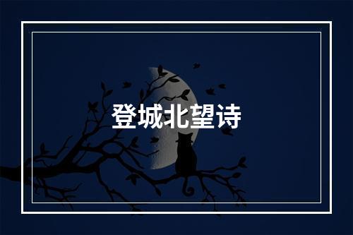 登城北望诗
